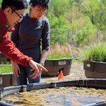 Students in the Environmental Science and Policy class use the wetlands mesocosm compound to engage high schoolers. (MAURICE C. JONES/BROADSIDE)